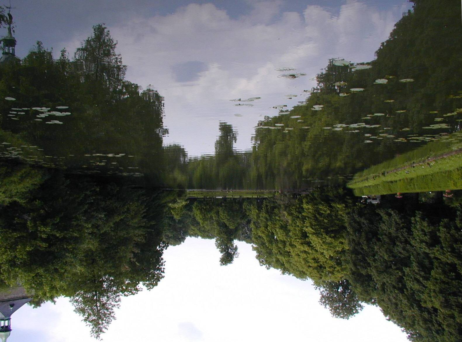 Photography by TyChO for DesignCrowd (Community Contests) | Design #9145579