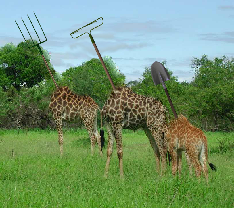 Photoshop Design by Wahoo for DesignCrowd (Community Contests) | Design #9142415