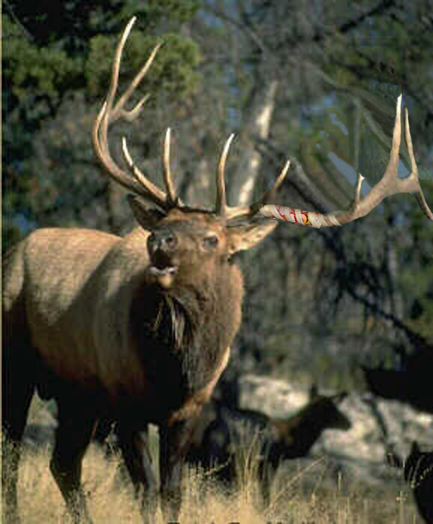 Diseño de Photoshop por MrsLion para DesignCrowd (Community Contests) | Diseño #9145354