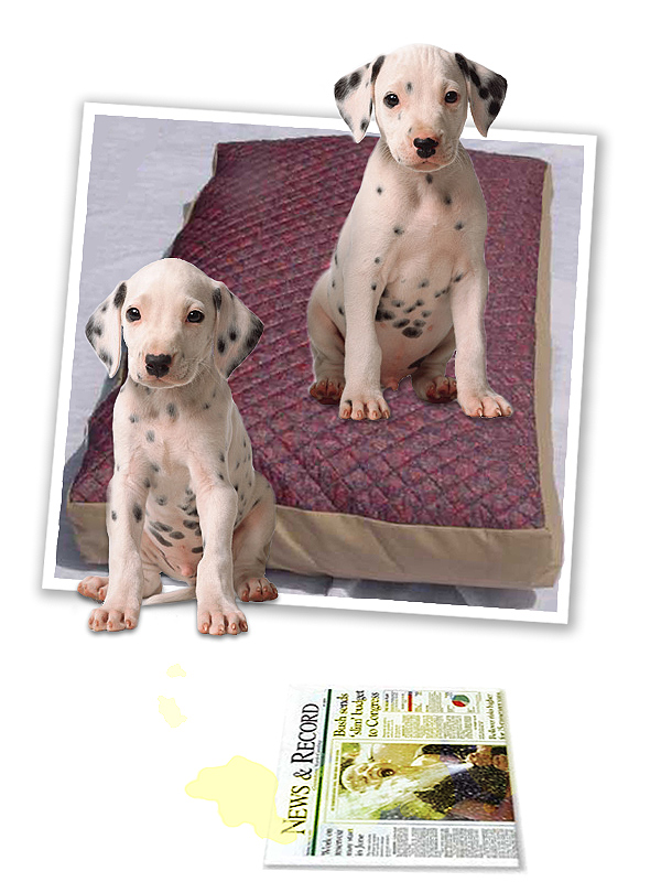 Logo-Design von robayer für DesignCrowd (Community Contests) | Design #9141209