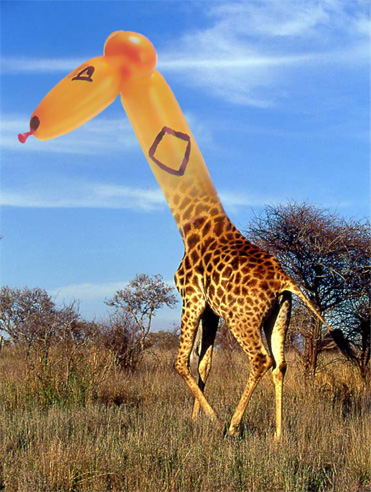 Design Photoshop par coling pour DesignCrowd (Community Contests) | Design #9142433