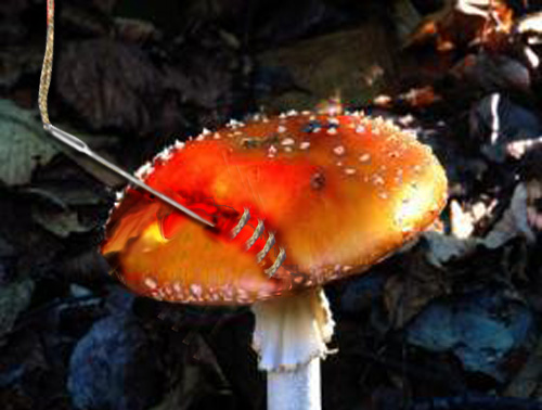 Photoshop Design by Clementine for DesignCrowd (Community Contests) | Design #9145341