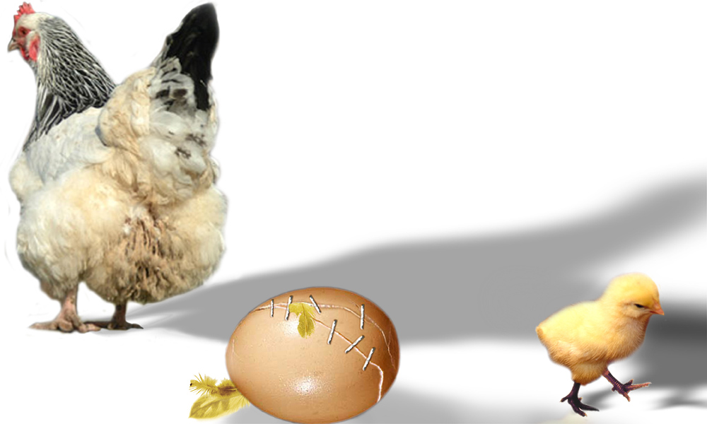 Photoshop Design by branie for DesignCrowd (Community Contests) | Design #9145392