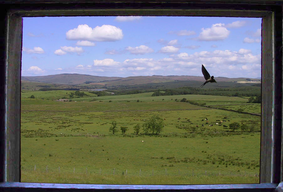 Photographie par silvagod pour DesignCrowd (Community Contests) | Design #9140139