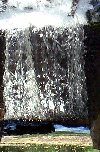 Fotografía por OneHappyFemale para DesignCrowd (Community Contests) | Diseño #9145634