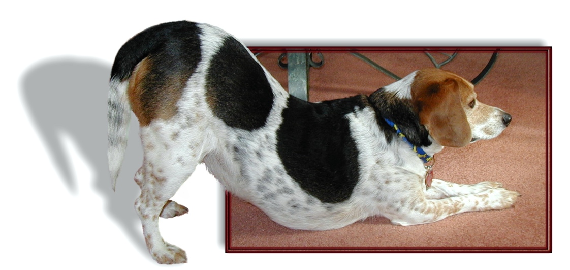 Diseño de Logo por Tommy1de para DesignCrowd (Community Contests) | Diseño #9141231