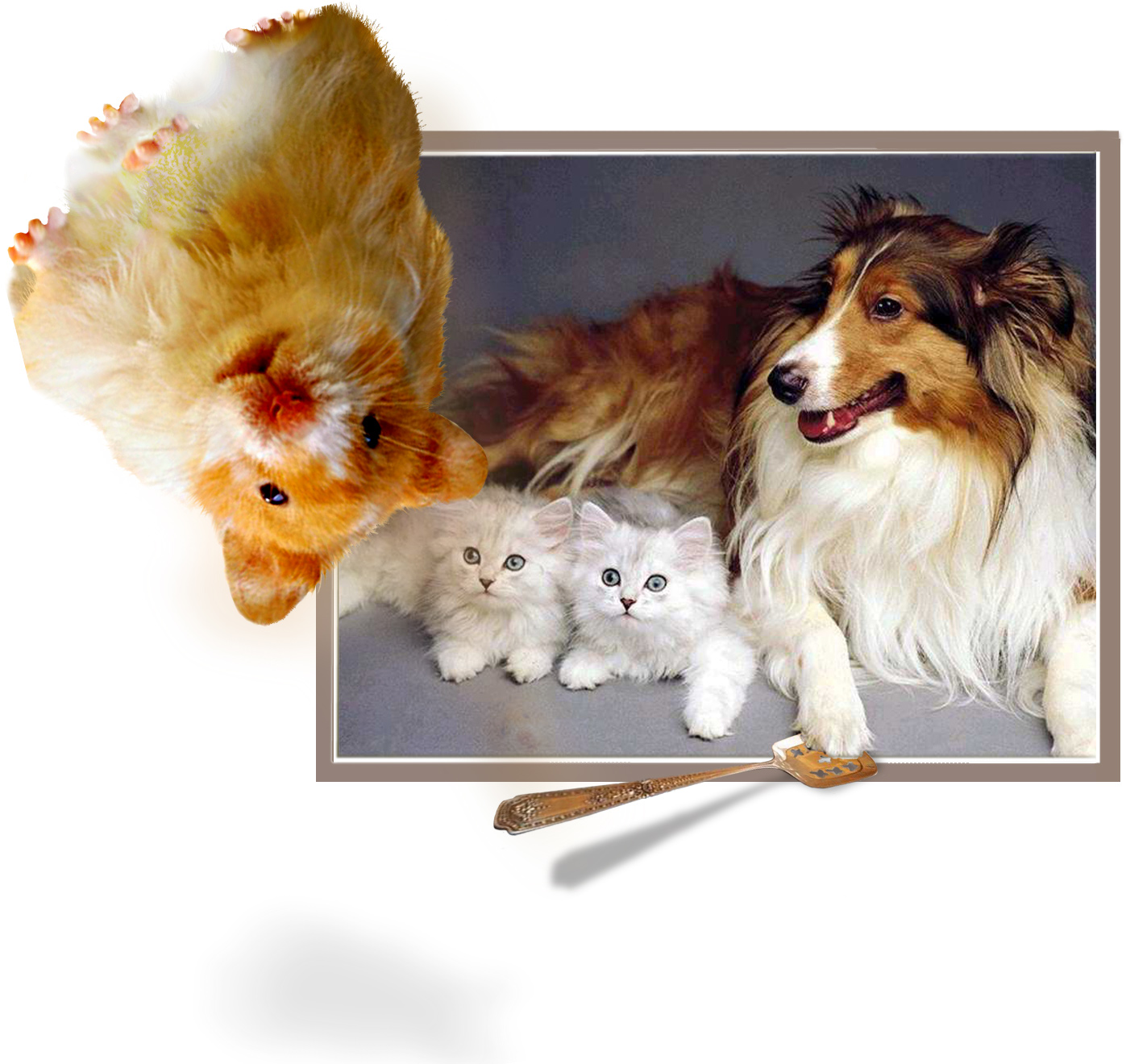 Diseño de Logo por Falonvel para DesignCrowd (Community Contests) | Diseño #9141235