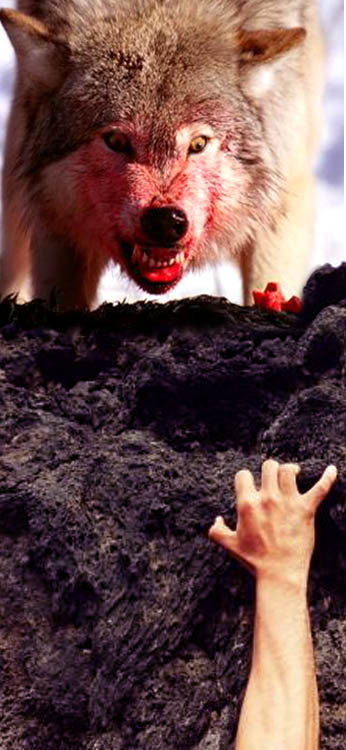 Photoshop Design by JackMack for DesignCrowd (Community Contests) | Design #9125920