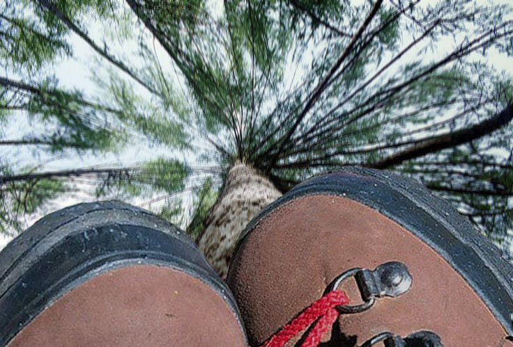 Photoshop-Design von MadamXelda für DesignCrowd (Community Contests) | Design #9125917