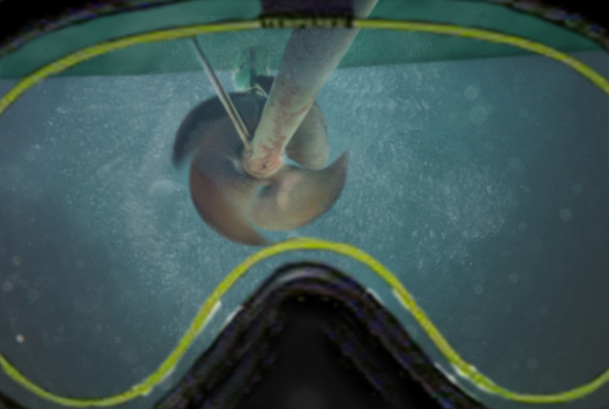 Photoshop Design by Matte1138 for DesignCrowd (Community Contests) | Design #9125925