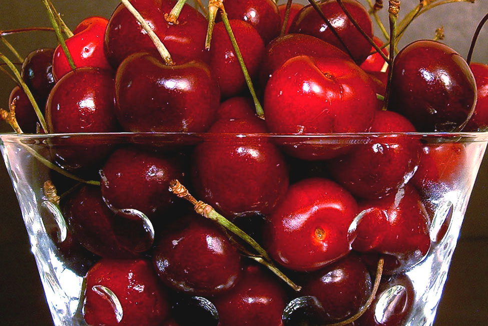 Photography by TampaDroid for DesignCrowd (Community Contests) | Design #9139944