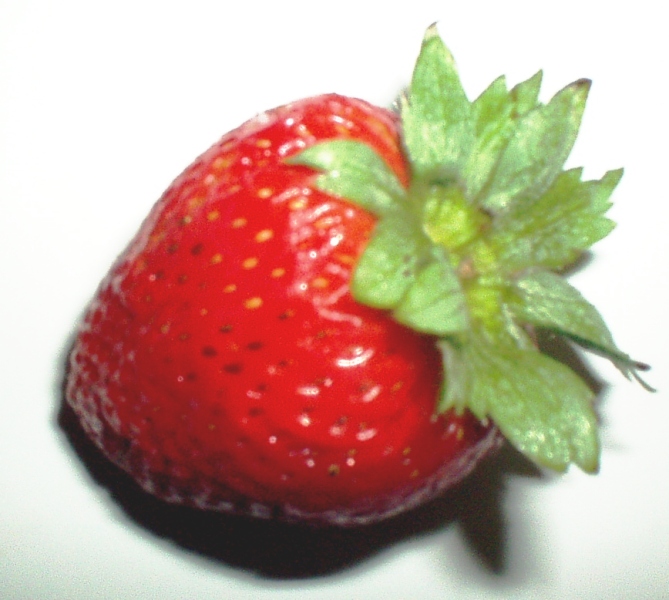 Fotografía por DaftGretel para DesignCrowd (Community Contests) | Diseño #9139994