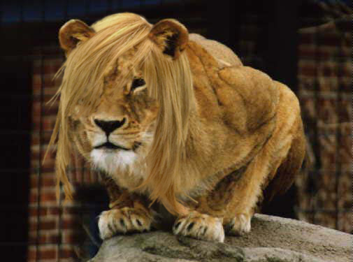 Photoshop-Design von Bb für DesignCrowd (Community Contests) | Design #9143159