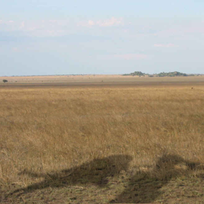 Photoshop Design by gunmetal for DesignCrowd (Community Contests) | Design #9126042