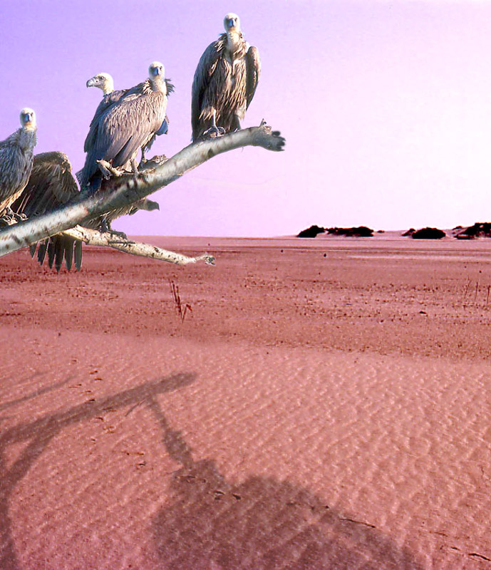 Photoshop-Design von hipnoart für DesignCrowd (Community Contests) | Design #9126089