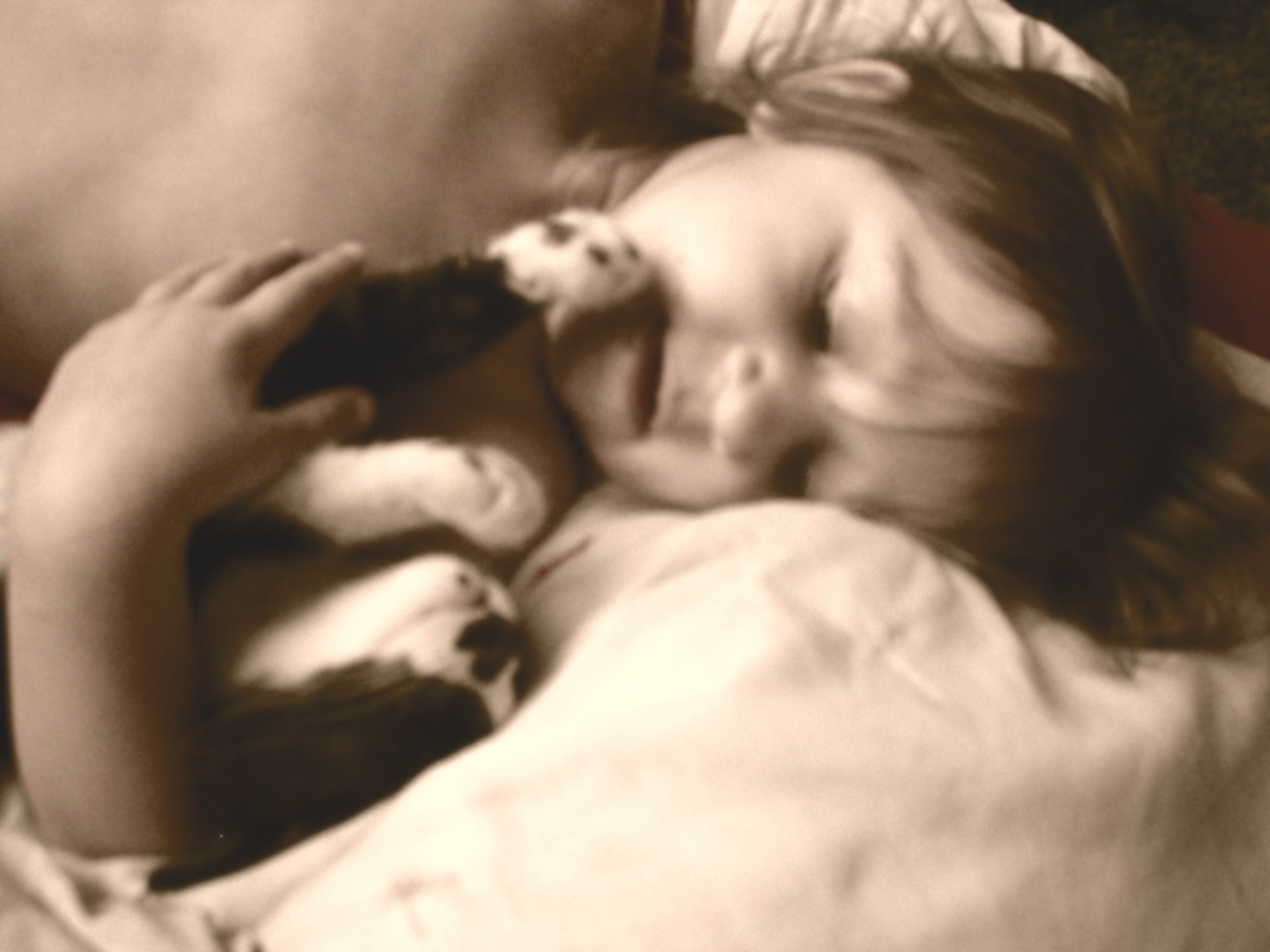 Photography by DaftGretel for DesignCrowd (Community Contests) | Design #9119144