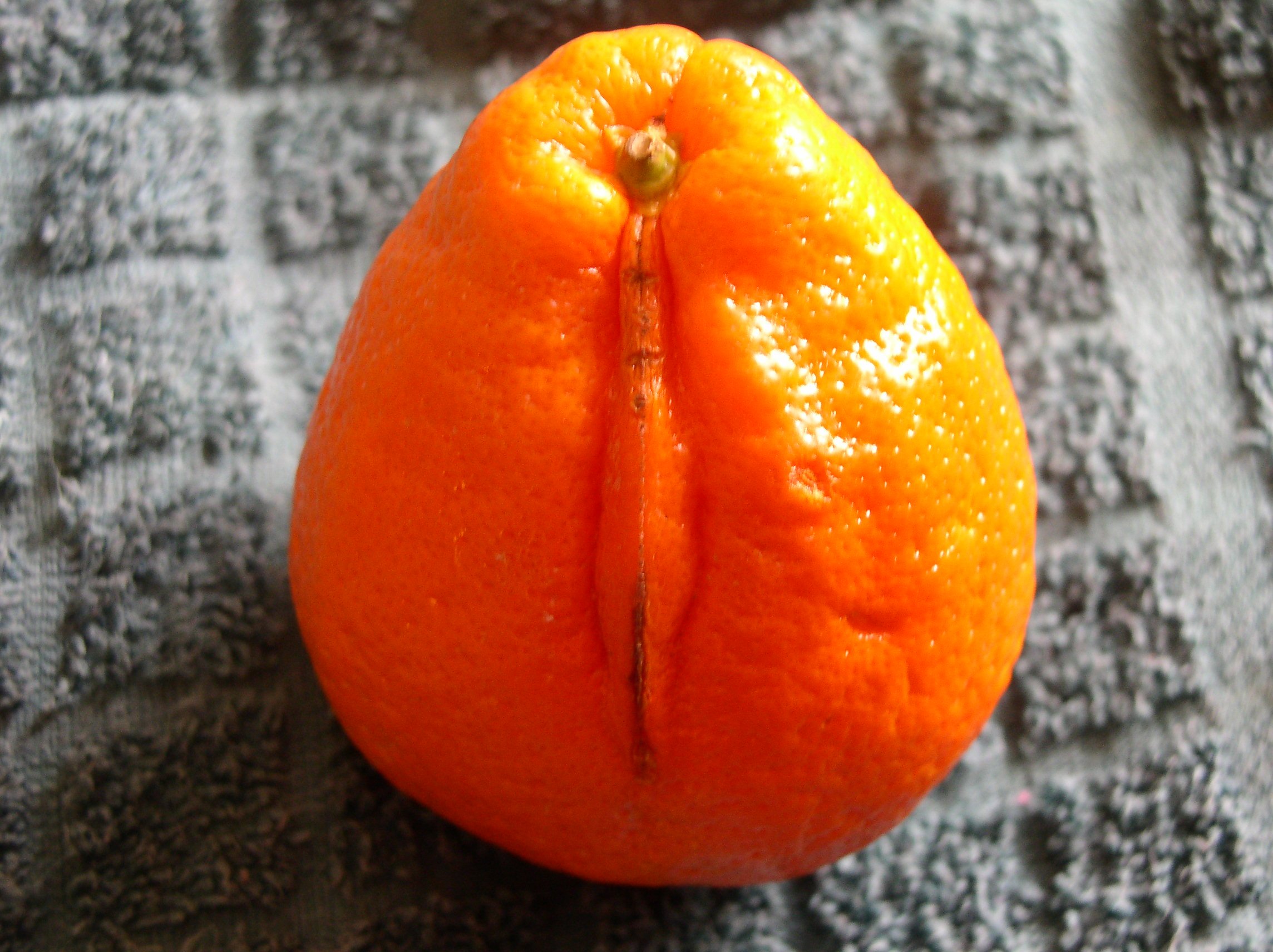 Photographie par tomgirl80 pour DesignCrowd (Community Contests) | Design #9140005