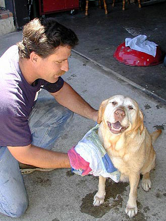 Photography by cometgymmom for DesignCrowd (Community Contests) | Design #9119169