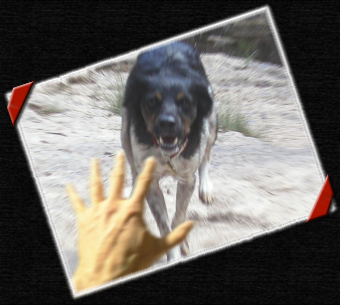 Photoshop-Design von patoloco für DesignCrowd (Community Contests) | Design #9126079