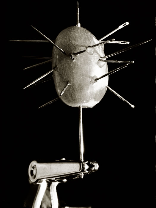 Photography by Six-Something for DesignCrowd (Community Contests) | Design #9140007