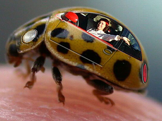 Photoshop Design by RealMeert for DesignCrowd (Community Contests) | Design #9139090