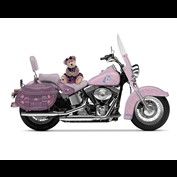 Photoshop Design by Trit