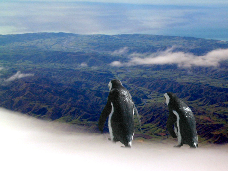 Photoshop Design by ecolio for DesignCrowd (Community Contests) | Design #9142769