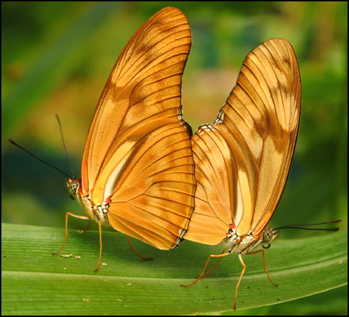 Photography by FastLane for DesignCrowd (Community Contests) | Design #9119165