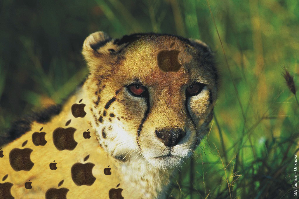 Photoshop Design by Wahoo for DesignCrowd (Community Contests) | Design #9117726