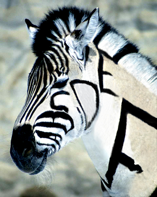 Photoshop Design by Nought2Brite for DesignCrowd (Community Contests) | Design #9117730