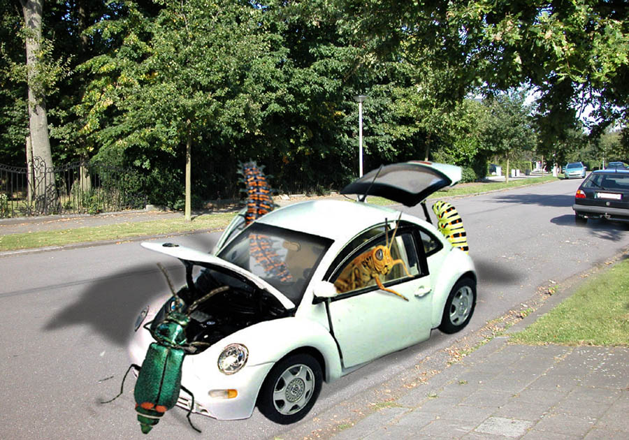 Photoshop Design by branie for DesignCrowd (Community Contests) | Design #9139140