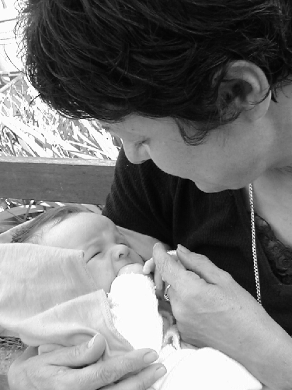 Fotografie von picaflor für DesignCrowd (Community Contests) | Design #9119223