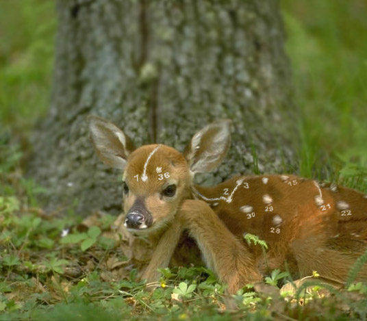 Photoshop Design by hipnoart for DesignCrowd (Community Contests) | Design #9117775