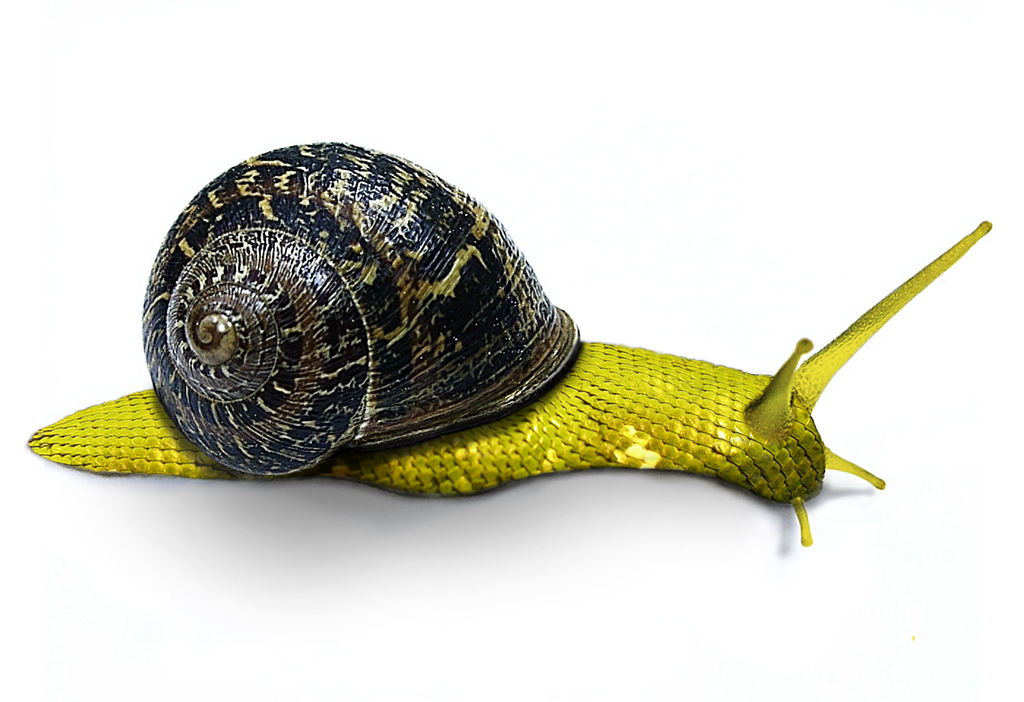 Photoshop-Design von wisbin für DesignCrowd (Community Contests) | Design #9117772