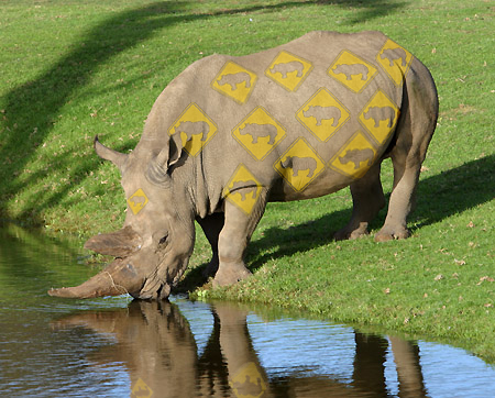 Photoshop Design by Stephie for DesignCrowd (Community Contests) | Design #9117773