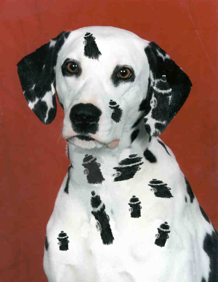 Photoshop-Design von Matman für DesignCrowd (Community Contests) | Design #9117764