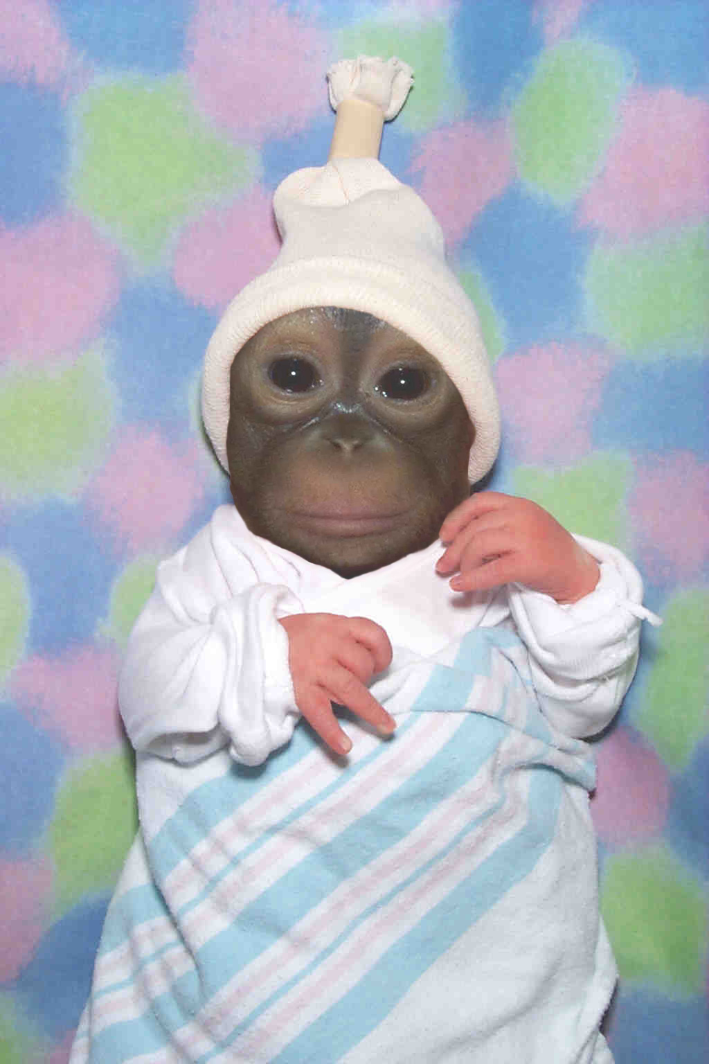 Photoshop Design by Wahoo for DesignCrowd (Community Contests) | Design #9119688