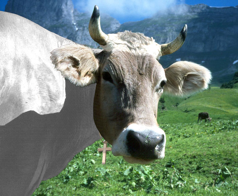 Design Photoshop par Chrace pour DesignCrowd (Community Contests) | Design #9117807