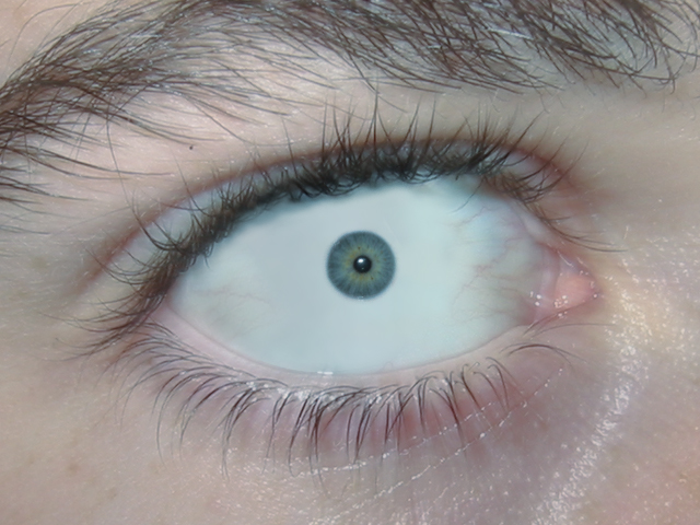 Diseño de Photoshop por Kzanderall para DesignCrowd (Community Contests) | Diseño #9143082