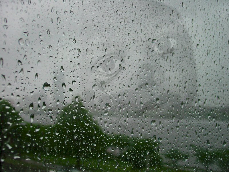 Diseño de Photoshop por MrsLion para DesignCrowd (Community Contests) | Diseño #9143090