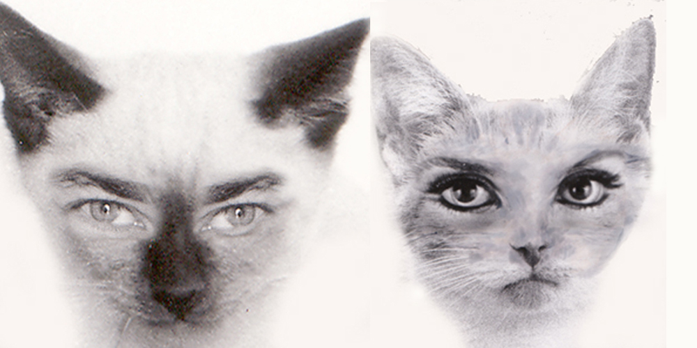 Photoshop Design by sonasandalian for DesignCrowd (Community Contests) | Design #9119759