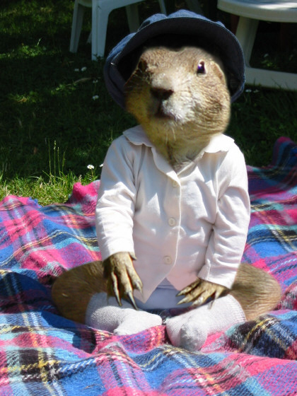 Diseño de Photoshop por adonf para DesignCrowd (Community Contests) | Diseño #9119731