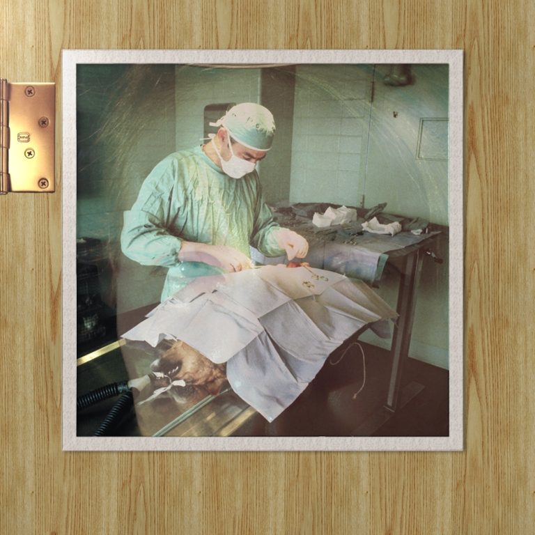 Design Photoshop par TheNomad pour DesignCrowd (Community Contests) | Design #9143131