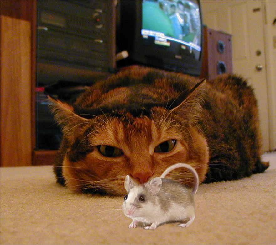 Photoshop-Design von Garsaelon für DesignCrowd (Community Contests) | Design #9143096