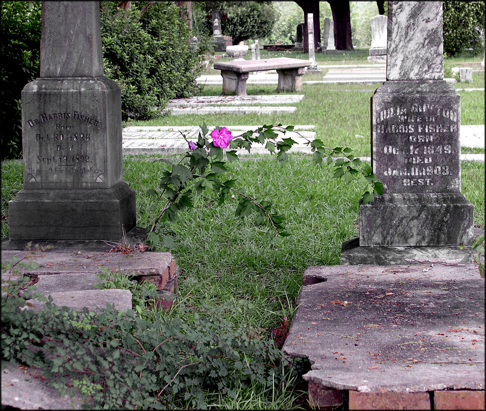 Photographie par Puffnasty pour DesignCrowd (Community Contests) | Design #9119184