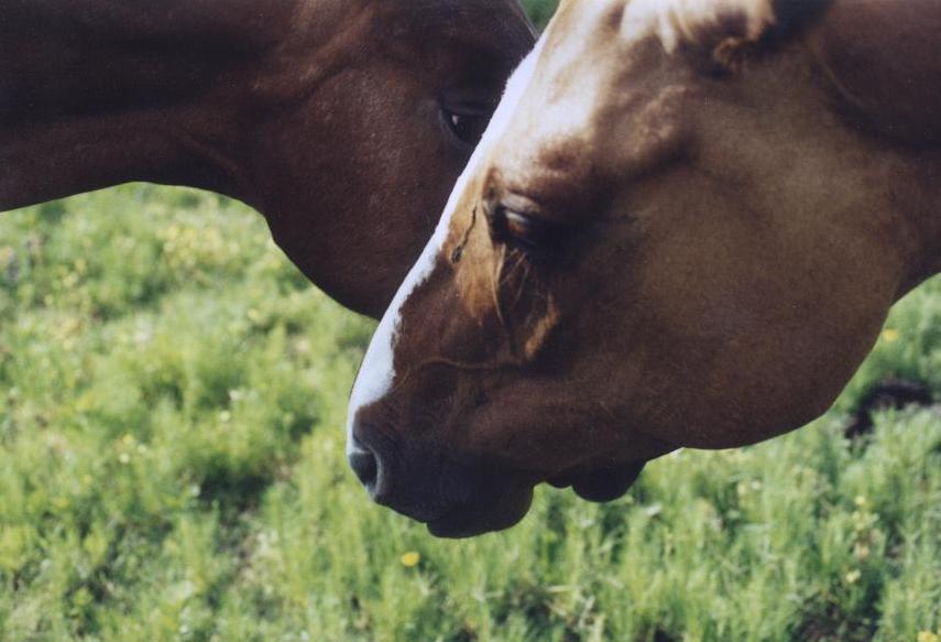 Photography by Krystal for DesignCrowd (Community Contests) | Design #9119219