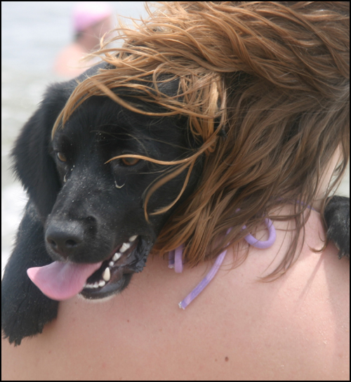 Photography by paddyjoe for DesignCrowd (Community Contests) | Design #9119176