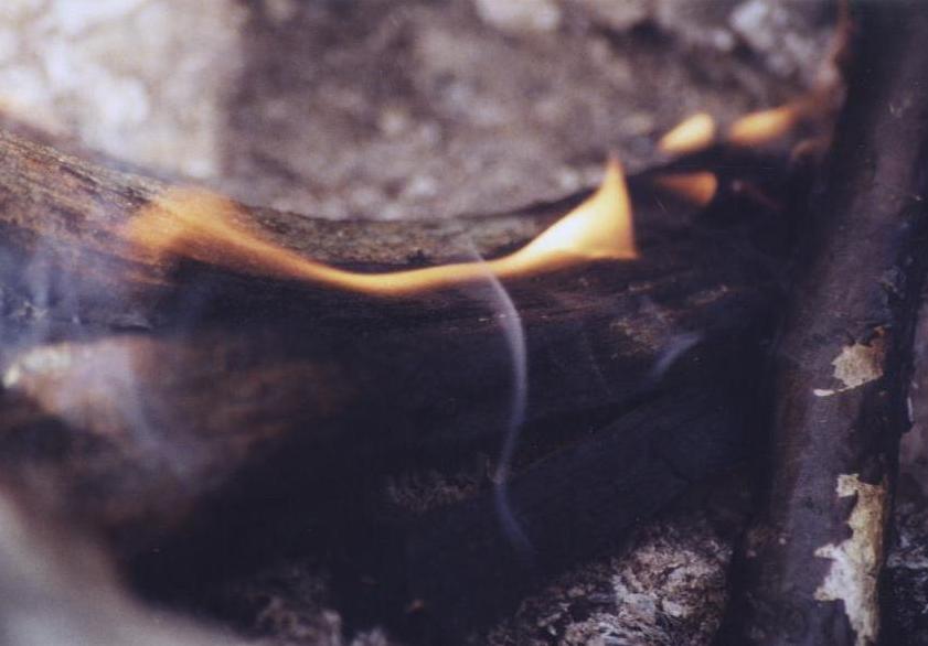 Photography by Krystal for DesignCrowd (Community Contests) | Design #9141379