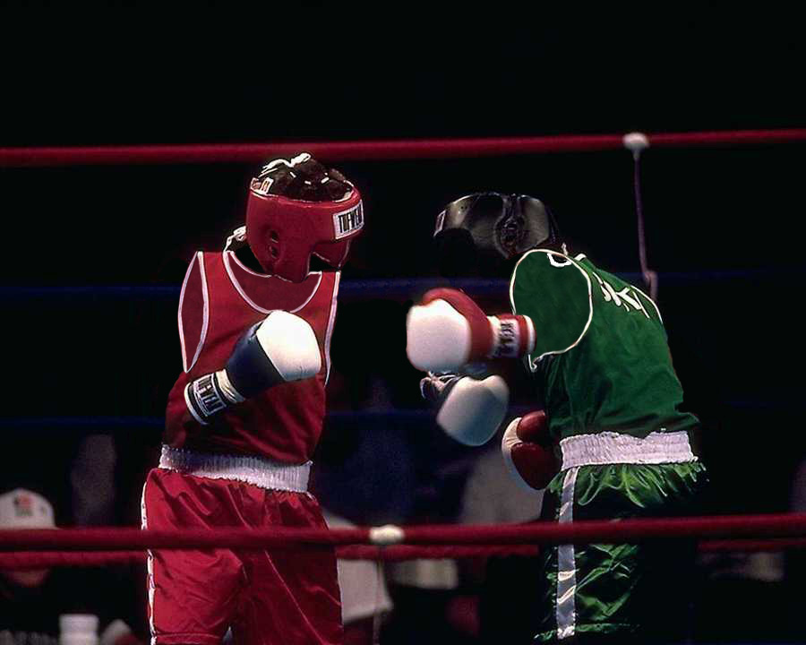 Photoshop Design by AlexL2003 for DesignCrowd (Community Contests) | Design #9126443