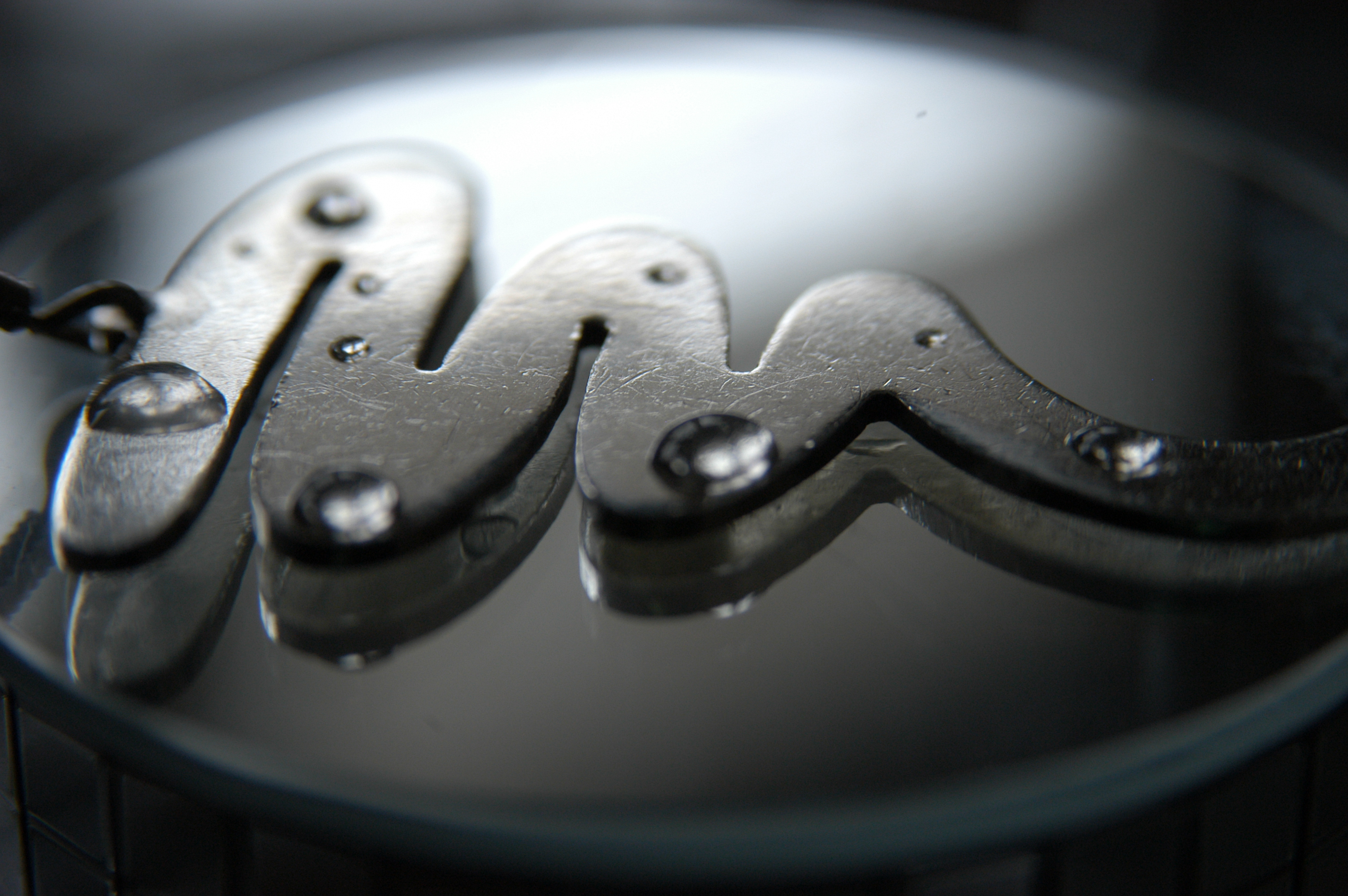 Photographie par Silverkatt pour DesignCrowd (Community Contests) | Design #9141759